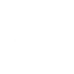 github icon
